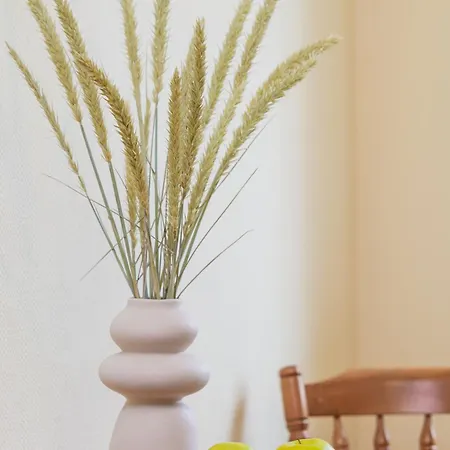 Family With Terrace Апартаменты *