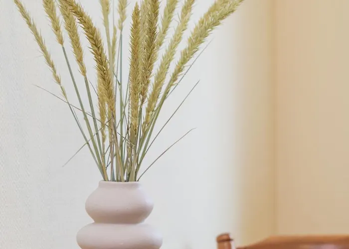 Family With Terrace Apartment *