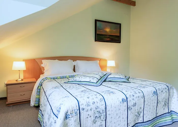 Family With Terrace Apartment Palanga