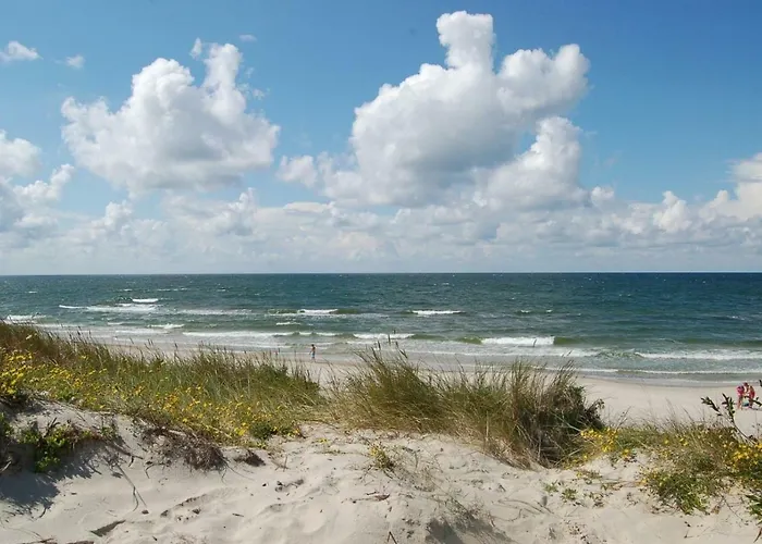 Family With Terrace Apartment *